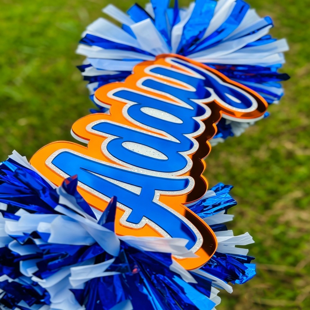 Custom Cheer Stick Sign With Pom Poms Personalized School Spirit Accessory