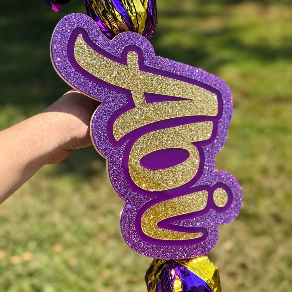 Custom Cheer Stick Sign With Pom Poms Personalized School Spirit Accessory