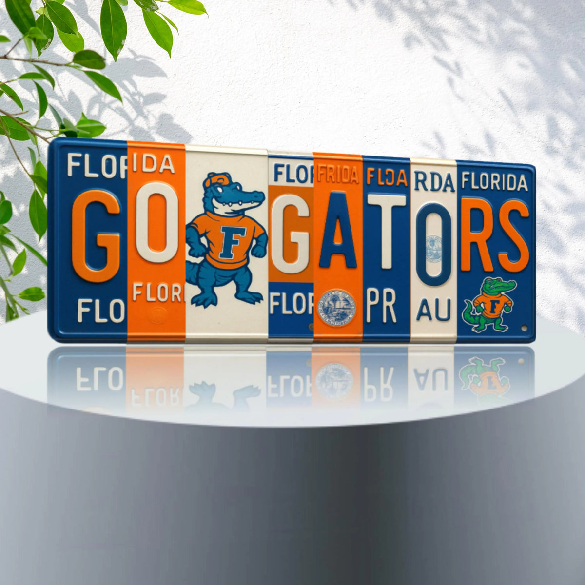 GO GATORS License Plate Sign – Florida Gators Metal Wall Art | Orange and Blue Fan Cave, Dorm and Tailgate Decor (16×6)