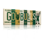 USF Bulls License Plate Sign – Green & Gold Metal Wall Art