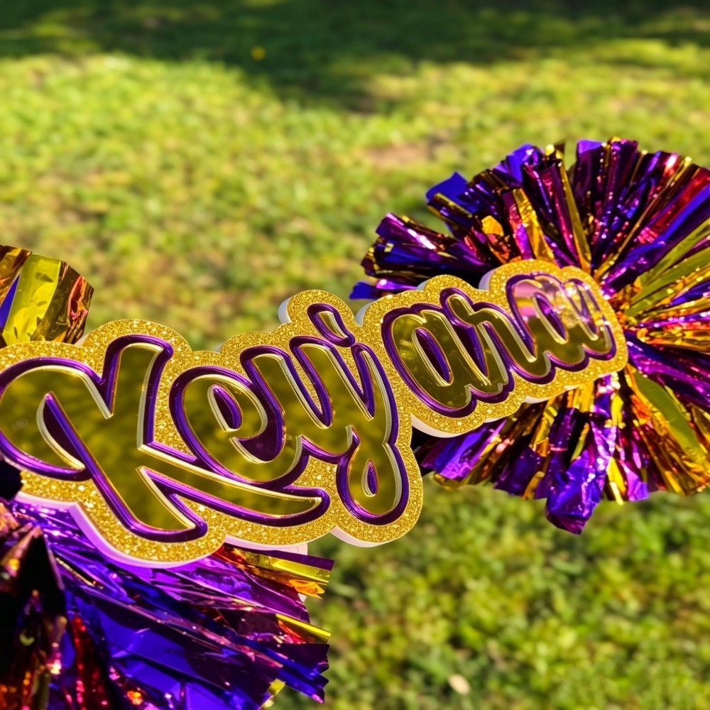 Custom Cheer Stick Sign With Pom Poms Personalized School Spirit Accessory