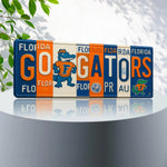 GO GATORS License Plate Sign – Florida Gators Metal Wall Art | Orange and Blue Fan Cave, Dorm and Tailgate Decor (16×6)