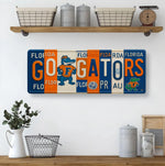 GO GATORS License Plate Sign – Florida Gators Metal Wall Art | Orange and Blue Fan Cave, Dorm and Tailgate Decor (16×6)
