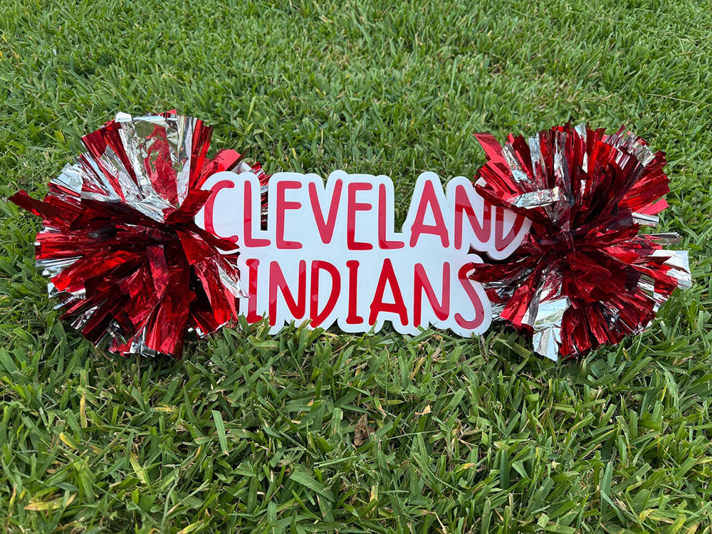 Personalized Cheer Stick with Poms: Game Day Spirit Sign
