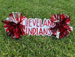 Personalized Cheer Stick with Poms: Game Day Spirit Sign
